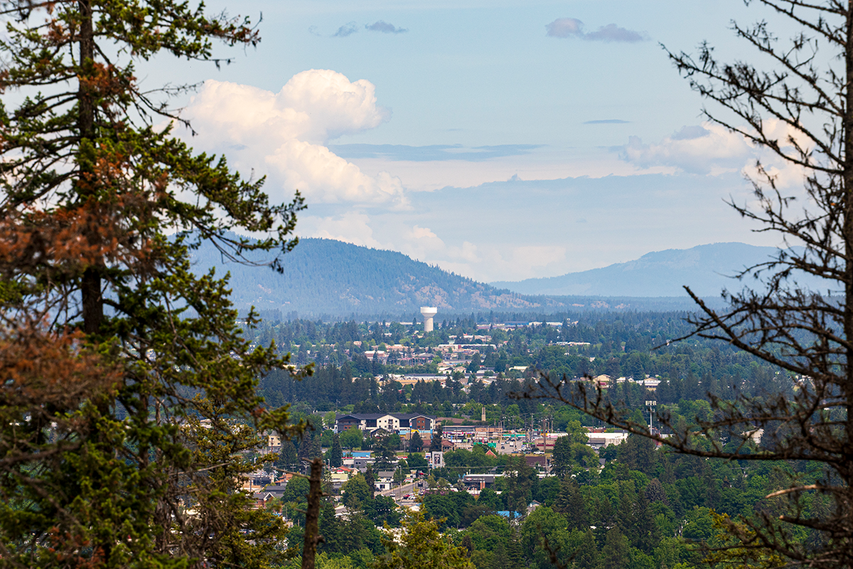 City surrounded by trees